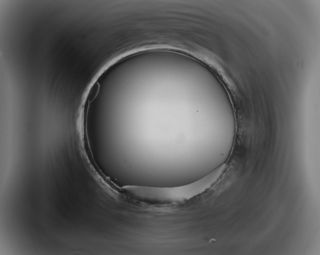 X0000087701516200705111353