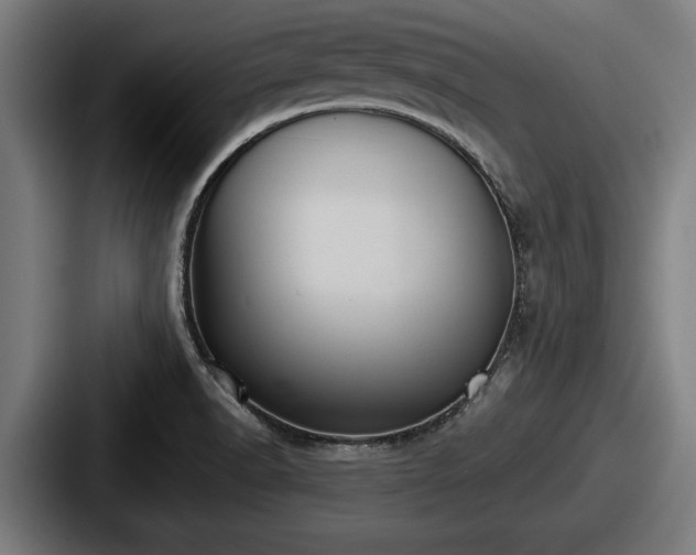 X0000087701518200705111353