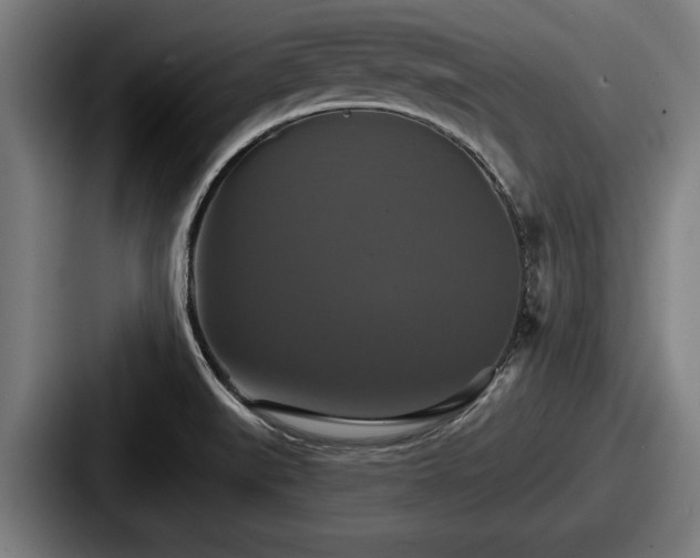 X0000087701519200705111353