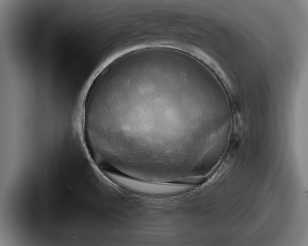 X0000087701520200705111353