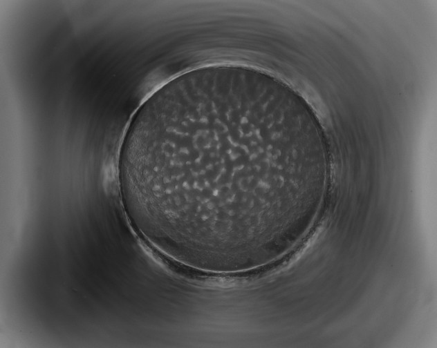 X0000087701521200705111353