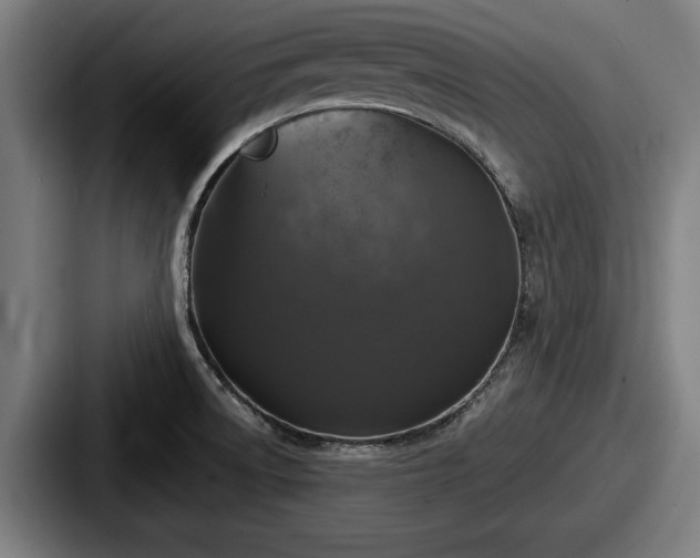 X0000087701522200705111353