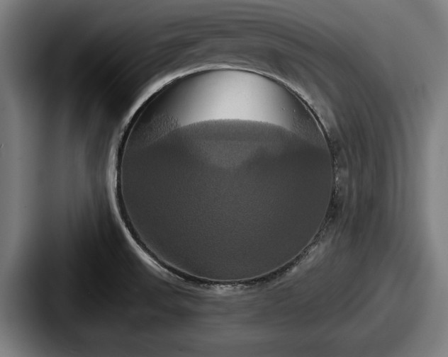 X0000087701523200705111353