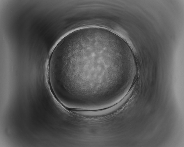 X0000087701524200705111354