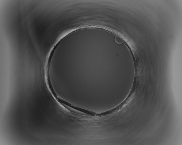 X0000087701525200705111354