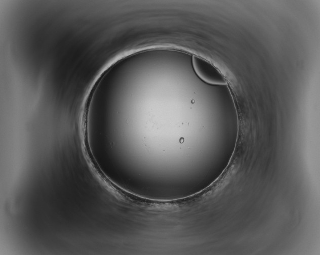 X0000087701526200705111354