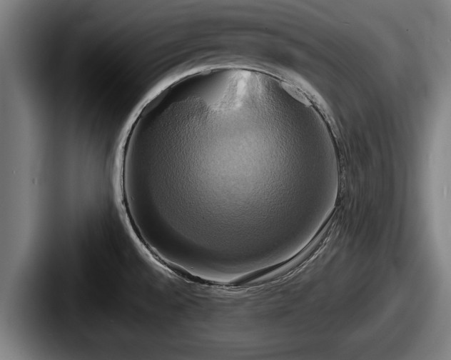 X0000087701528200705111354