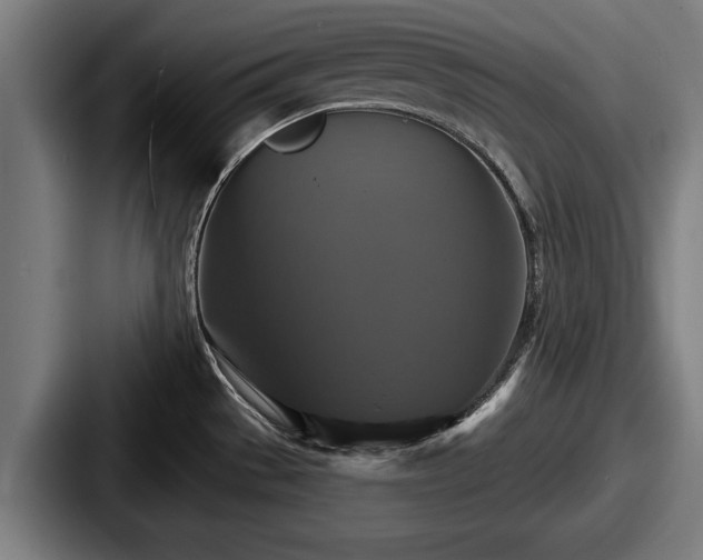X0000087701529200705111354