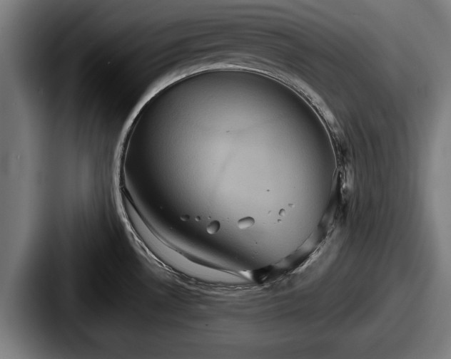 X0000087701530200705111354