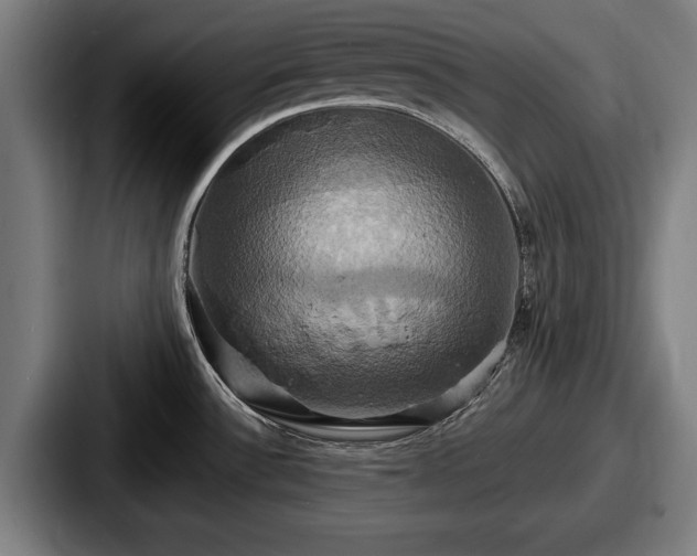 X0000087701532200705111354