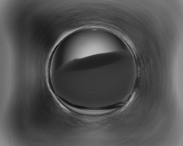 X0000087701533200705111354