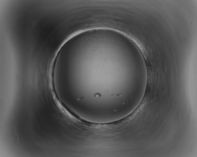 X0000087701534200705111354