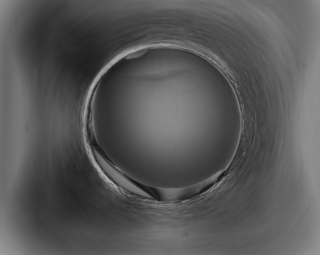 X0000087701536200705111354