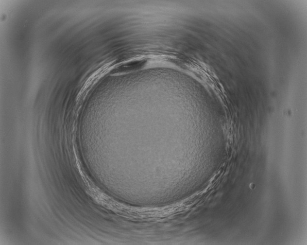 X0000087700001200705181831