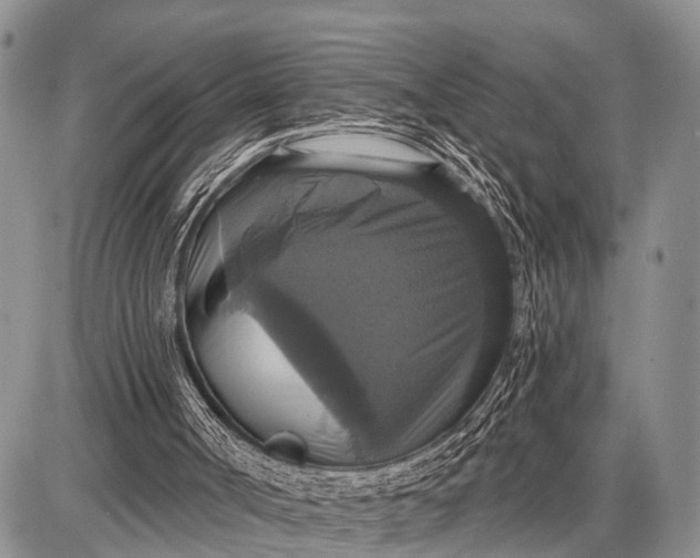 X0000087700002200705181831