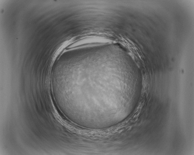 X0000087700003200705181831
