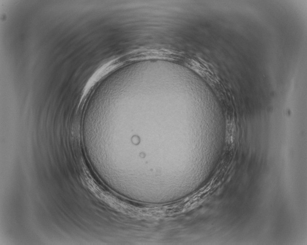 X0000087700004200705181831