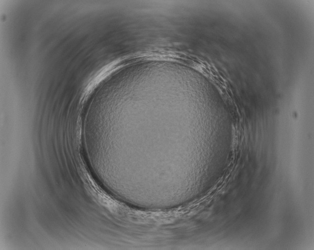 X0000087700005200705181831