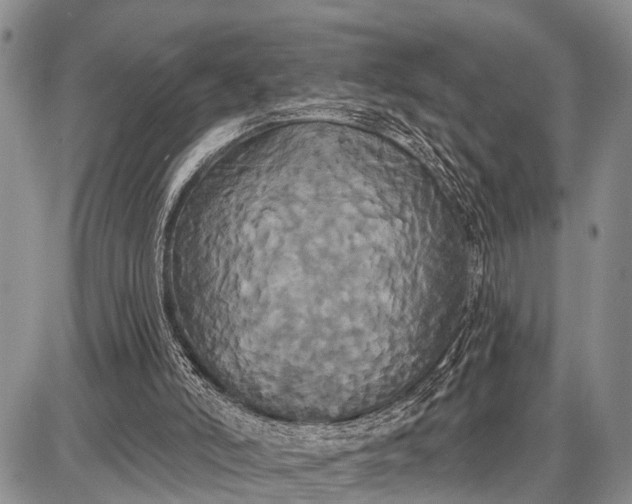 X0000087700006200705181831