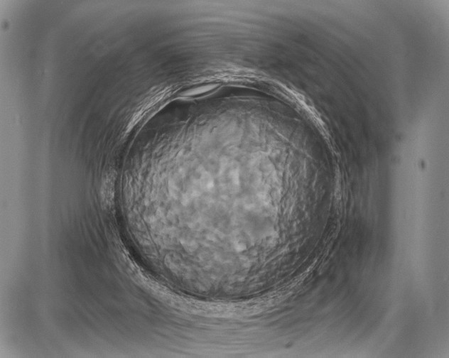 X0000087700010200705181831