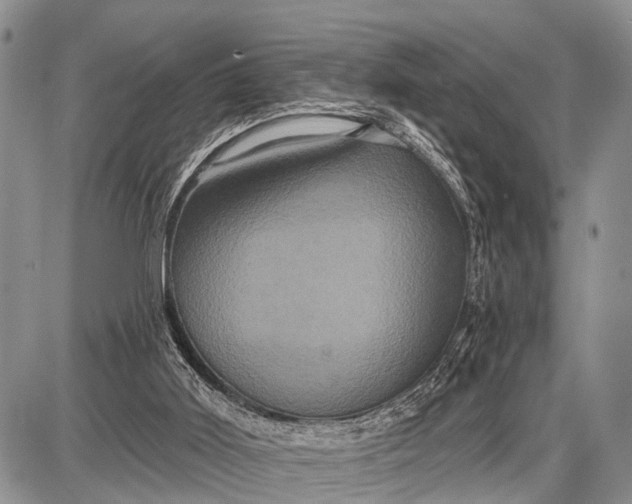 X0000087700011200705181831