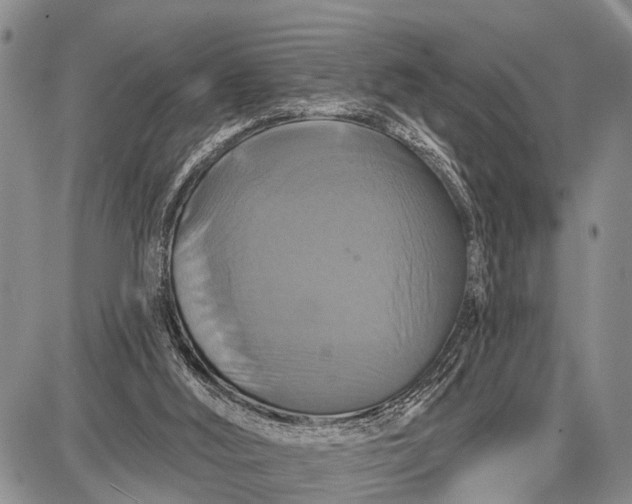 X0000087700012200705181831