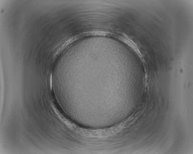 X0000087700013200705181831