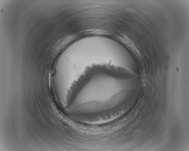 X0000087700014200705181831
