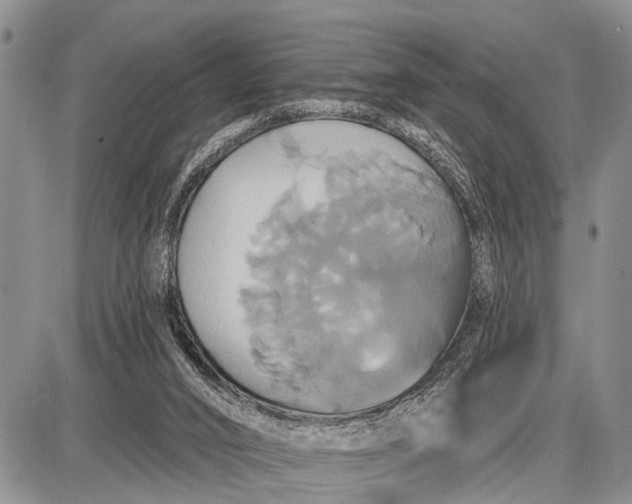 X0000087700016200705181831