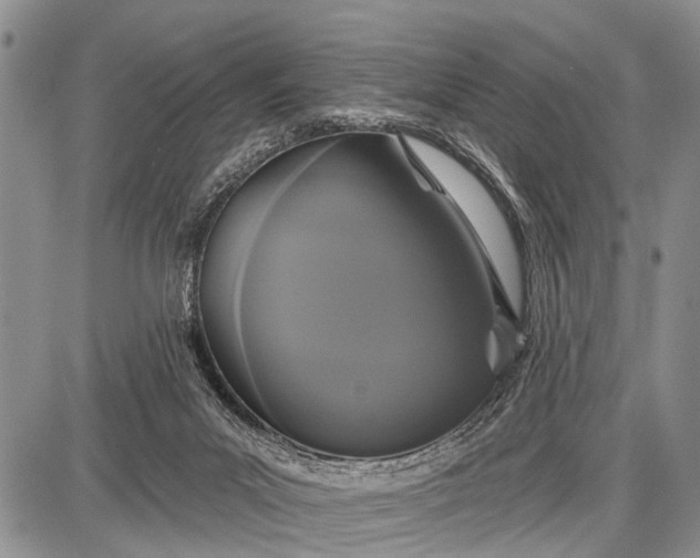 X0000087700023200705181831