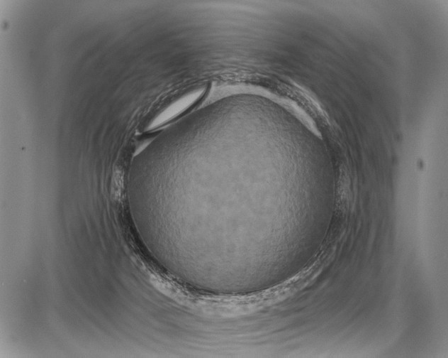 X0000087700025200705181831