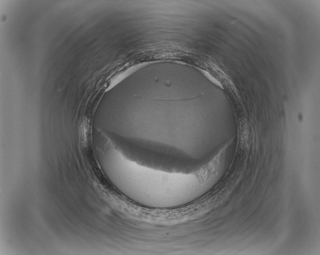 X0000087700026200705181831