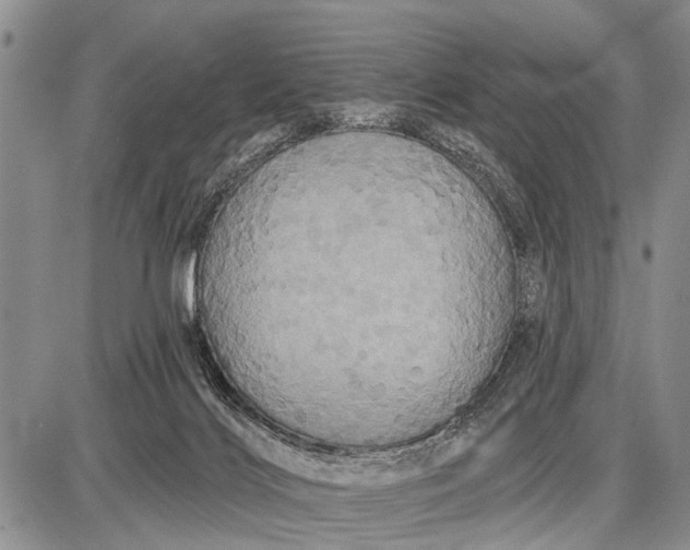 X0000087700028200705181831