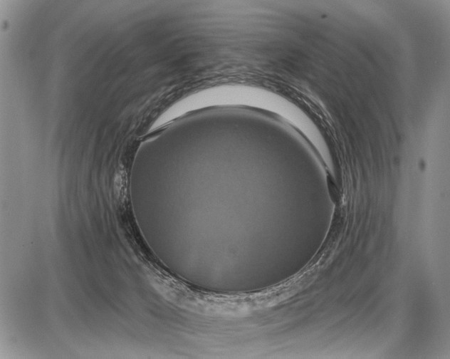 X0000087700029200705181831