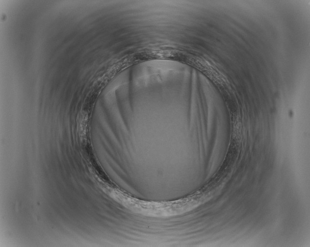X0000087700030200705181831