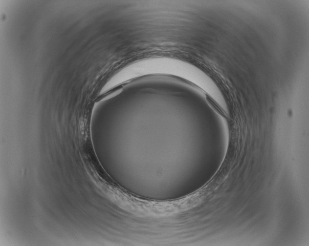 X0000087700031200705181831