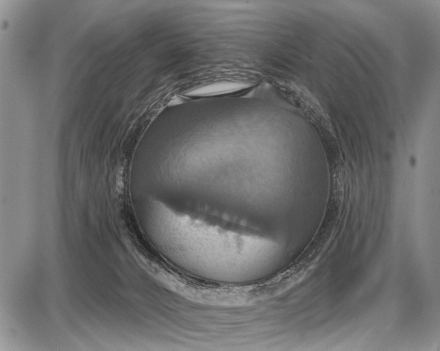 X0000087700032200705181831