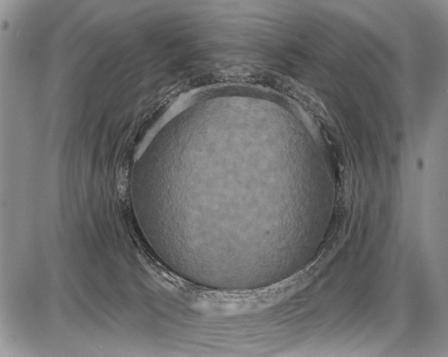 X0000087700033200705181831