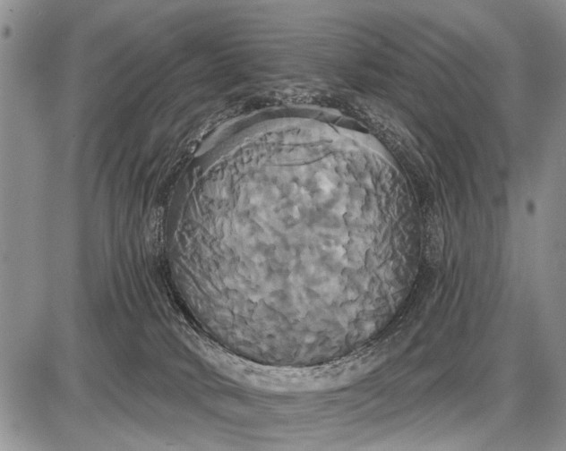 X0000087700034200705181831