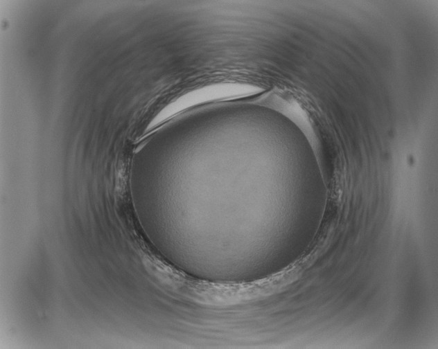 X0000087700037200705181831