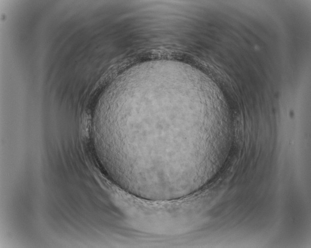 X0000087700038200705181831
