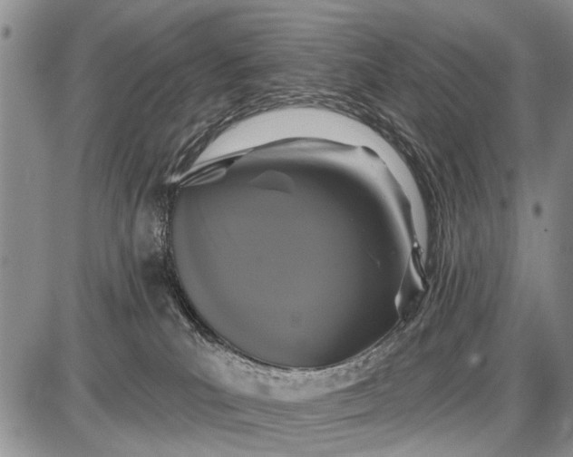 X0000087700039200705181831