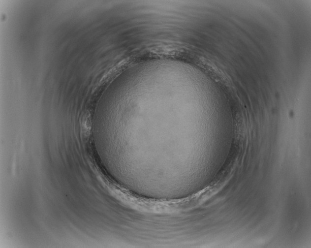X0000087700040200705181831