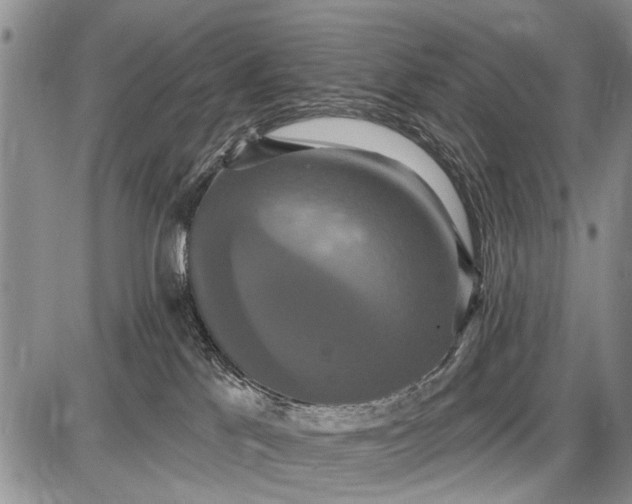 X0000087700041200705181830