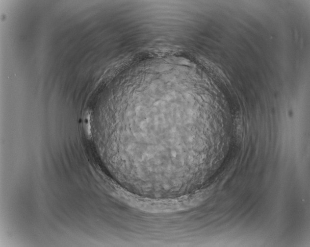 X0000087700042200705181830