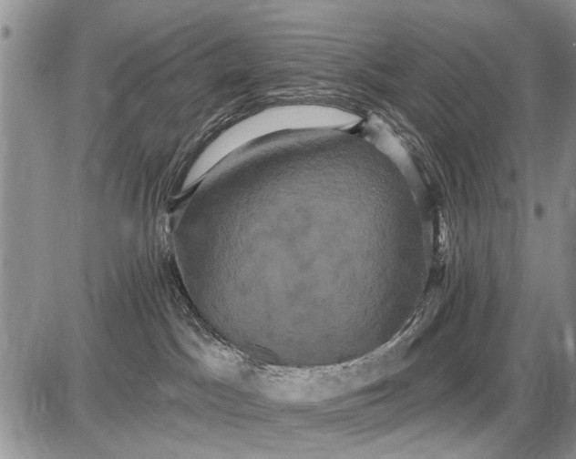 X0000087700045200705181830