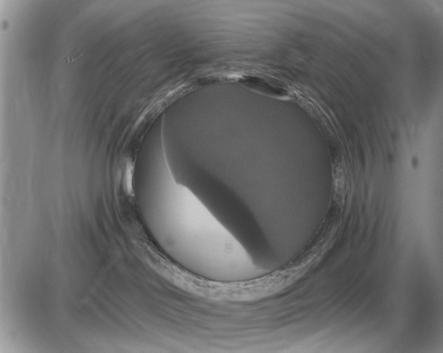 X0000087700046200705181830