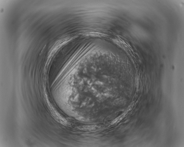 X0000087700049200705181830