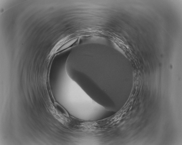 X0000087700051200705181830