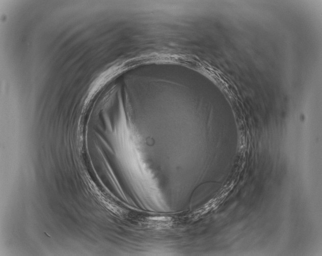 X0000087700053200705181830